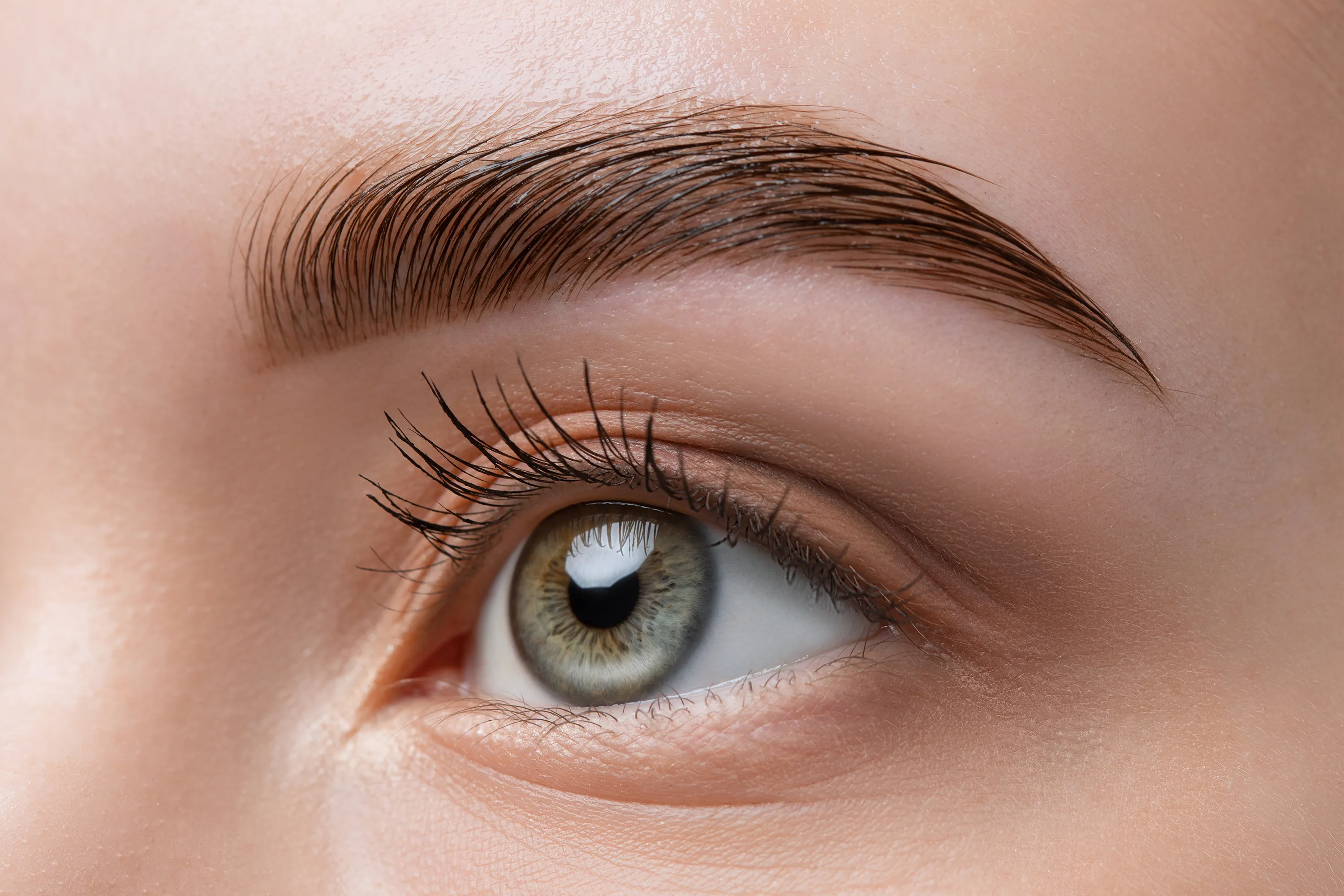 Trasplante de Cejas