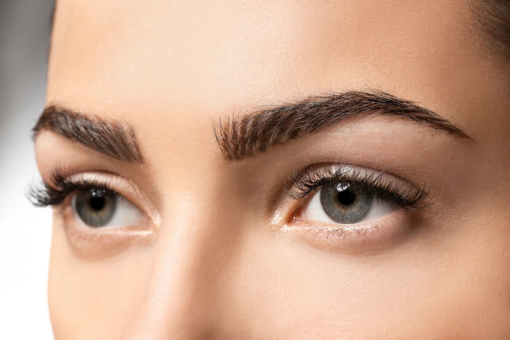 Resultados de Trasplante de Cejas